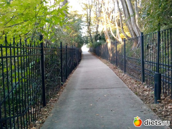 8. ������ �������. ����� ����������., ������: ���� ���� � ���������. 29.10.2015�.