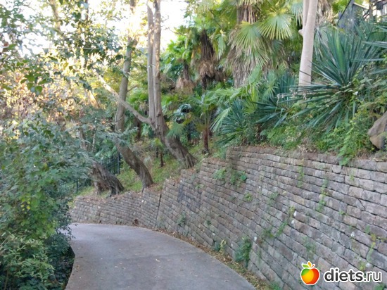 12. ����� ������))) ����� � ������., ������: ���� ���� � ���������. 29.10.2015�.