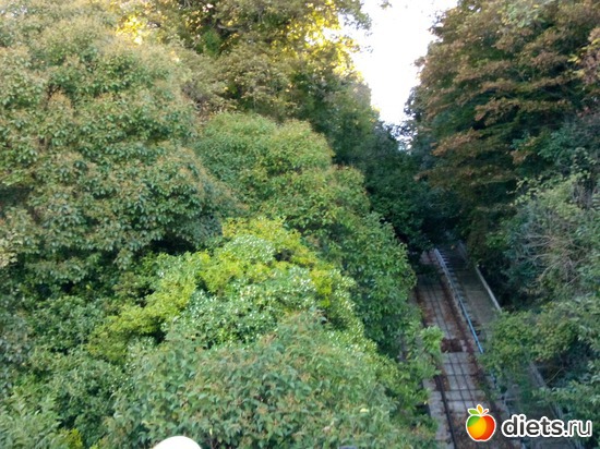 15. ��� ������., ������: ���� ���� � ���������. 29.10.2015�.