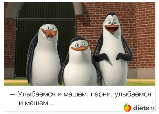 24 ����: ))))))