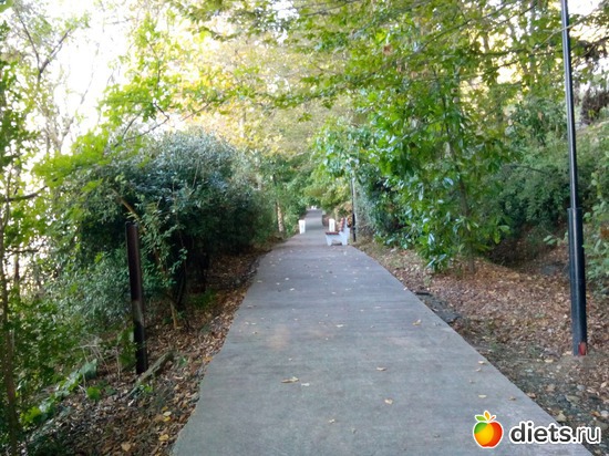 17., ������: ���� ���� � ���������. 29.10.2015�.