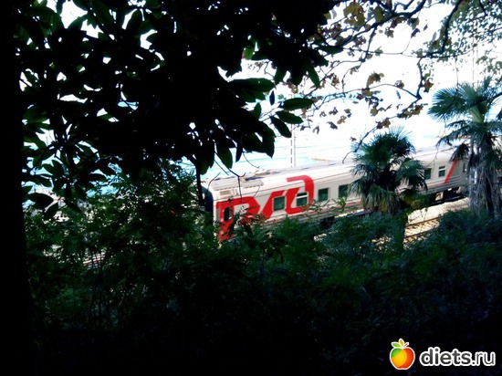 18. � ���� ��������� � �������., ������: ���� ���� � ���������. 29.10.2015�.