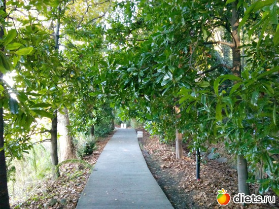 19. ����� �� ��������., ������: ���� ���� � ���������. 29.10.2015�.