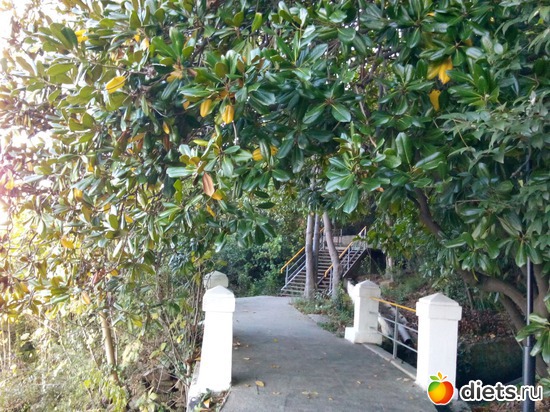 20. ������� �������� �������� � �������., ������: ���� ���� � ���������. 29.10.2015�.