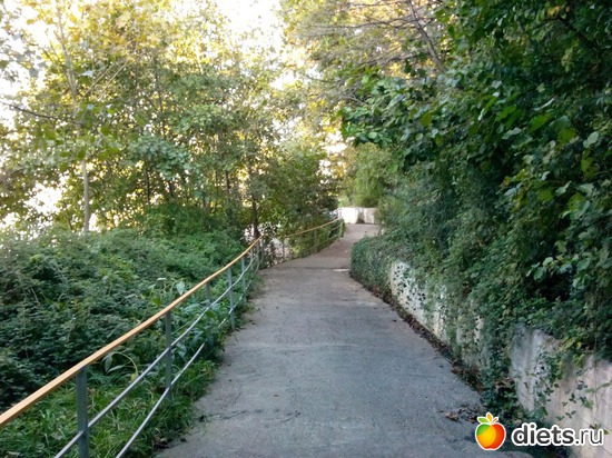 21. ����., ������: ���� ���� � ���������. 29.10.2015�.