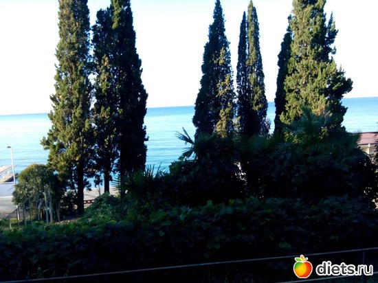 24. ������ ����������� ��� ���� � ����., ������: ���� ���� � ���������. 29.10.2015�.