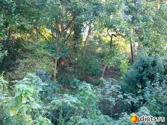 25., ������: ���� ���� � ���������. 29.10.2015�.