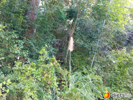 28. �� ��� ������ ���� ������ ���������), ������: ���� ���� � ���������. 29.10.2015�.