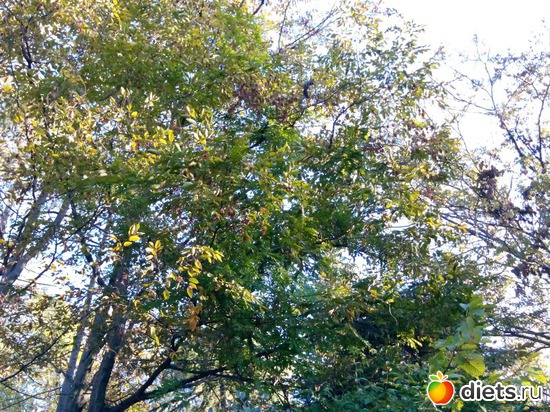 30. ����� ��������� �����., ������: ���� ���� � ���������. 29.10.2015�.