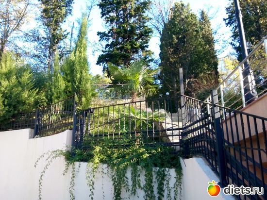 31., ������: ���� ���� � ���������. 29.10.2015�.