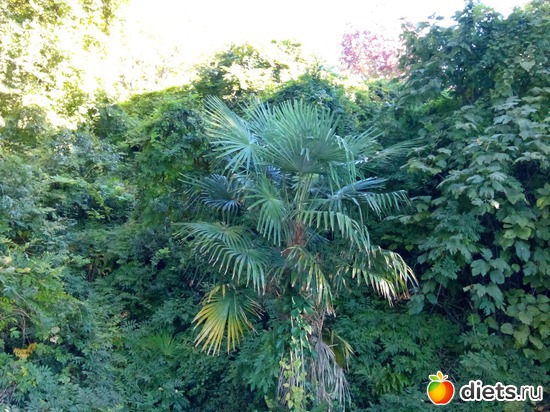 34., ������: ���� ���� � ���������. 29.10.2015�.