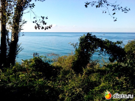 35., ������: ���� ���� � ���������. 29.10.2015�.