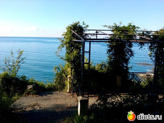 36., ������: ���� ���� � ���������. 29.10.2015�.