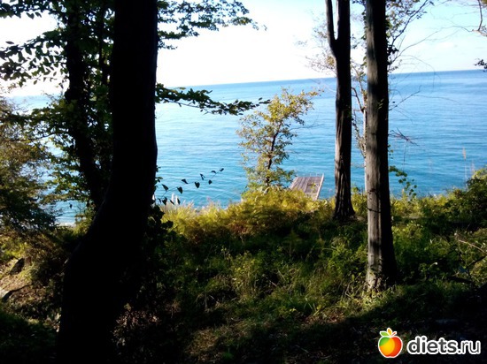 37., ������: ���� ���� � ���������. 29.10.2015�.