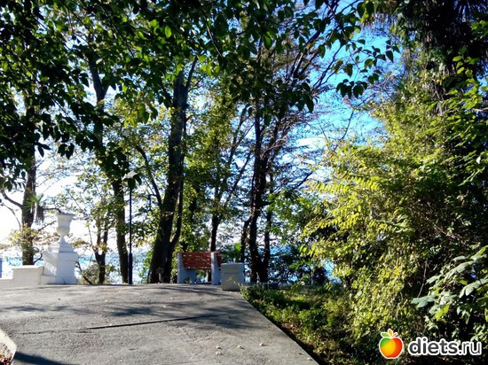 38., ������: ���� ���� � ���������. 29.10.2015�.