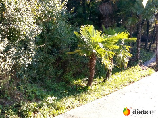 39., ������: ���� ���� � ���������. 29.10.2015�.