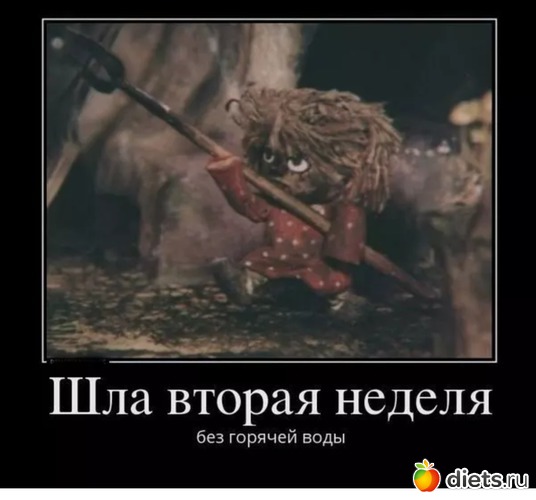 6 фото: ))))))
