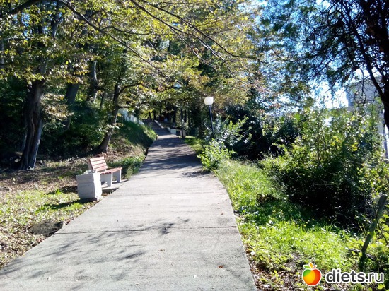 44., ������: ���� ���� � ���������. 29.10.2015�.