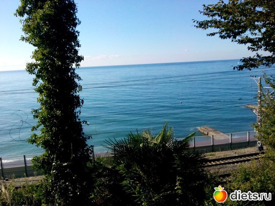 45., ������: ���� ���� � ���������. 29.10.2015�.