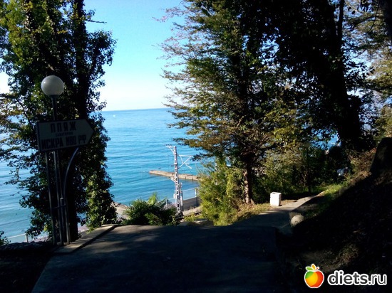 46. �� ������, ����!, ������: ���� ���� � ���������. 29.10.2015�.