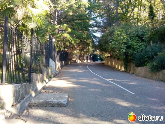 47. ������ ������ � �����., ������: ���� ���� � ���������. 29.10.2015�.