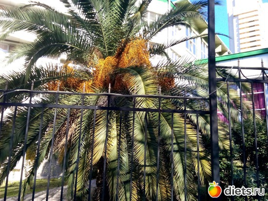 48. ������ ������., ������: ���� ���� � ���������. 29.10.2015�.