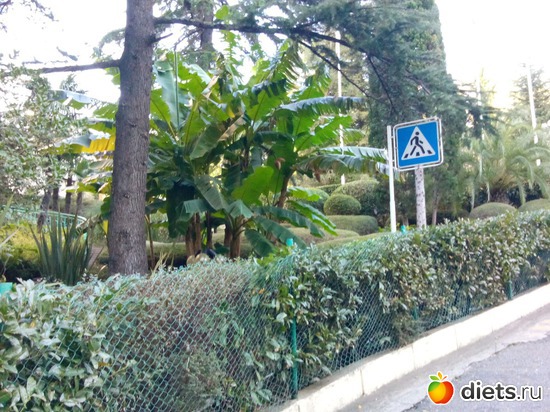 50., ������: ���� ���� � ���������. 29.10.2015�.