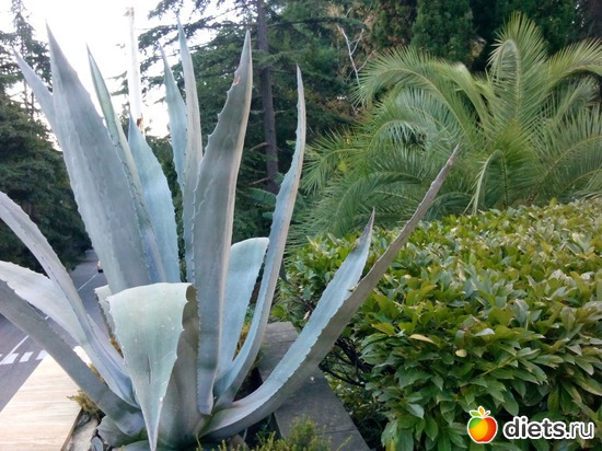 53., ������: ���� ���� � ���������. 29.10.2015�.