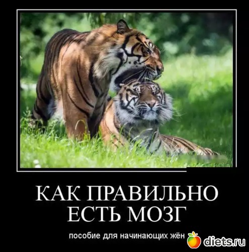 18 фото: ))))))