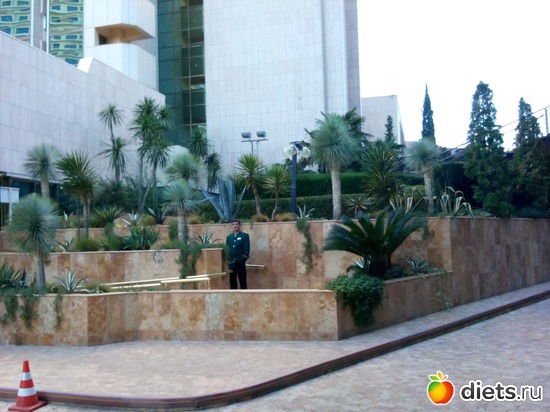 56., ������: ���� ���� � ���������. 29.10.2015�.