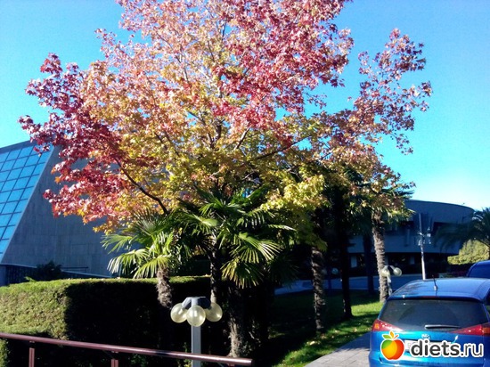 58. ��� ���� ��� �����������., ������: ���� ���� � ���������. 29.10.2015�.