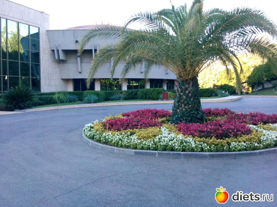 59. ������� ������ ��������., ������: ���� ���� � ���������. 29.10.2015�.