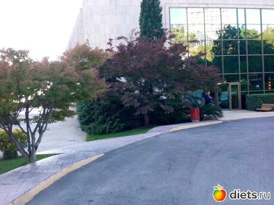 61., ������: ���� ���� � ���������. 29.10.2015�.