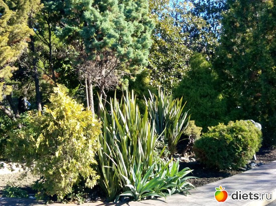 62., ������: ���� ���� � ���������. 29.10.2015�.