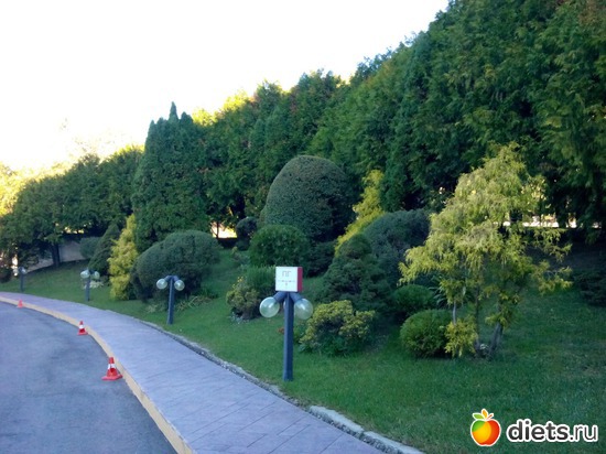 63., ������: ���� ���� � ���������. 29.10.2015�.