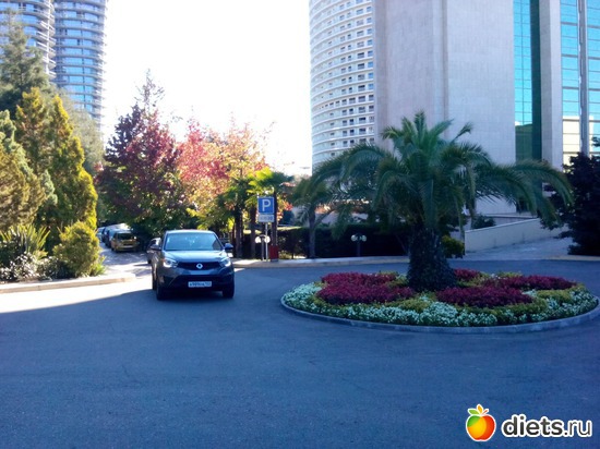 64., ������: ���� ���� � ���������. 29.10.2015�.