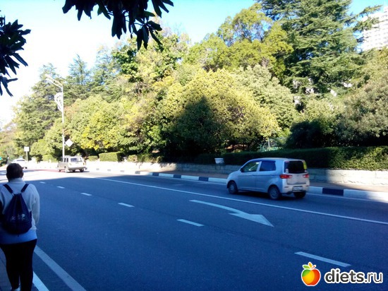 65. ��������� ��������, ������: ���� ���� � ���������. 29.10.2015�.