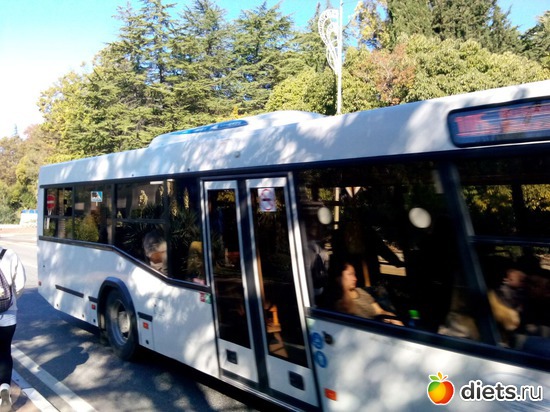 66., ������: ���� ���� � ���������. 29.10.2015�.