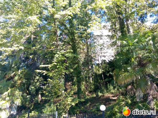 70., ������: ���� ���� � ���������. 29.10.2015�.