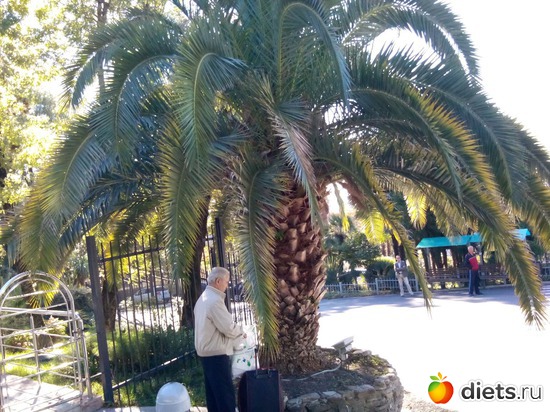 73., ������: ���� ���� � ���������. 29.10.2015�.