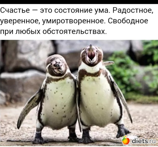 32 ����: ))))))