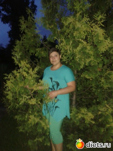 ����2015, ������: 2015�