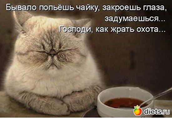 17 ����: ������ �����....
