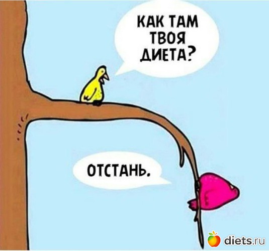 8 фото: Юмор))