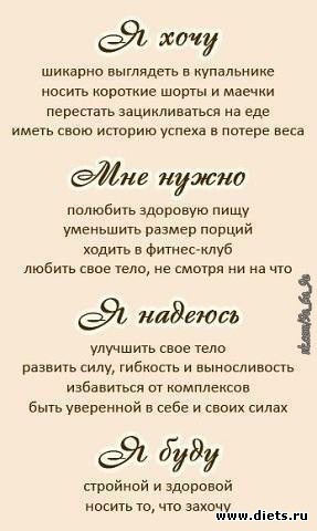 фото отчеты