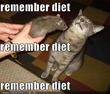 ���������� �...
