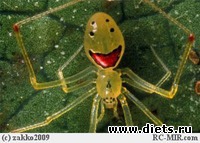 Трогательная забота