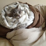 планы на сегодня)))