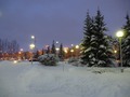 Выпал снег 25.11.2015