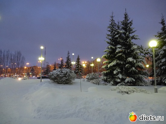 ����� ���� 25.11.2015, ������: �������